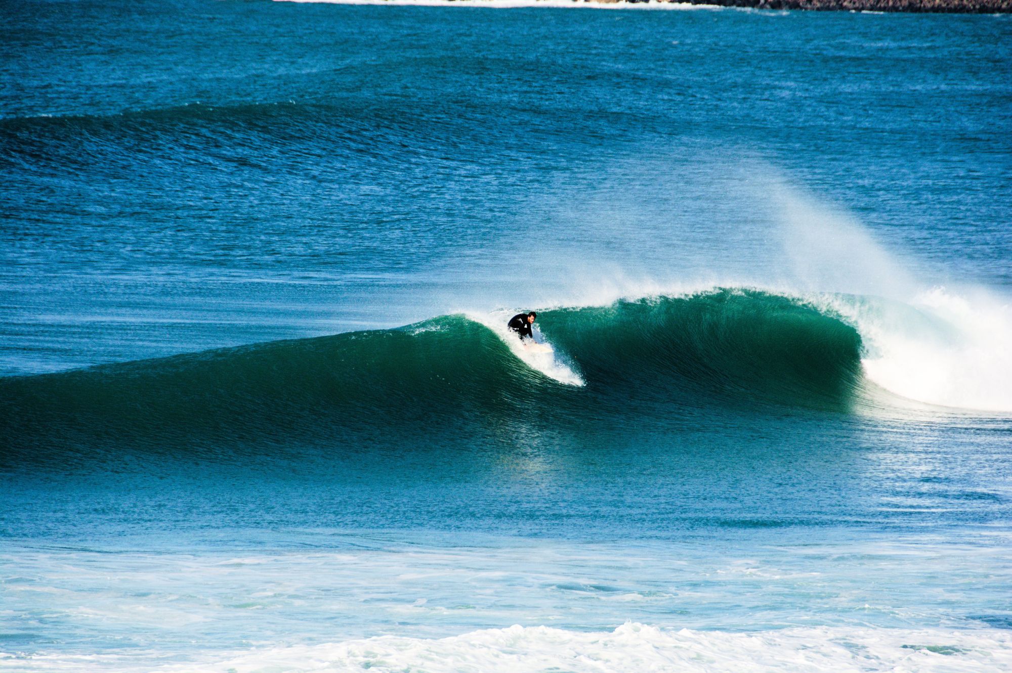 The Surfer